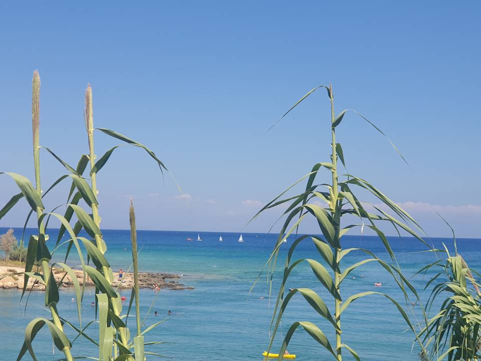 Strand Crystal Springs Beach Hotel