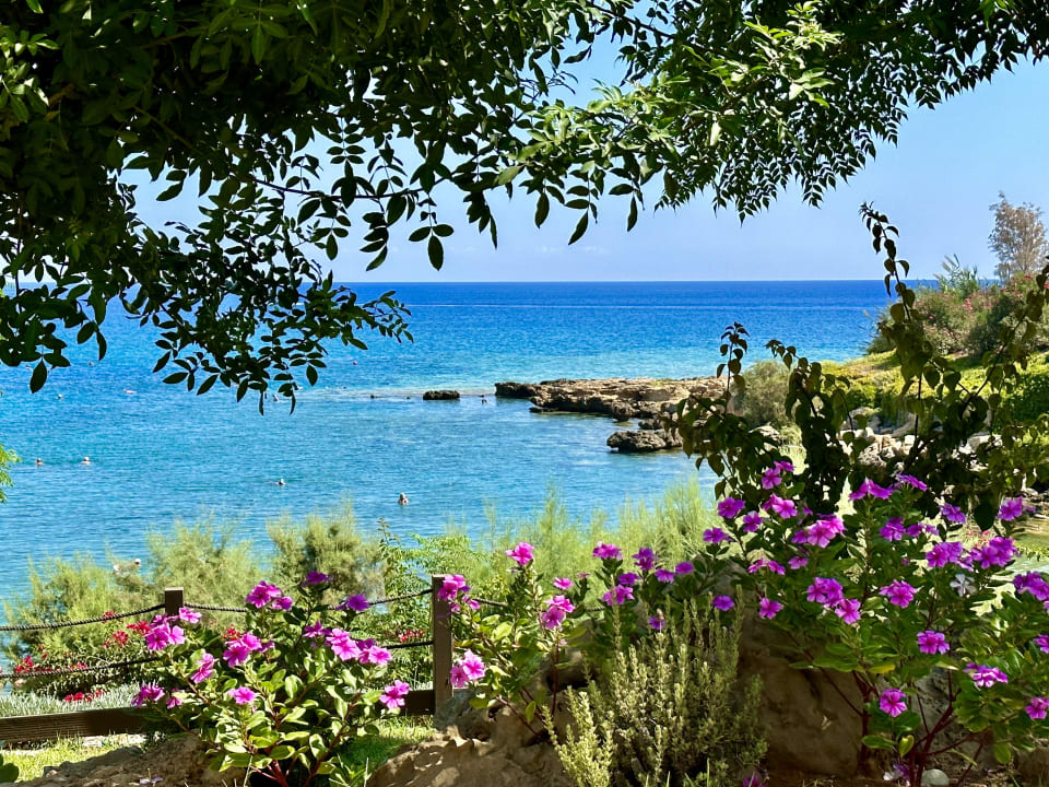 Ausblick Crystal Springs Beach Hotel