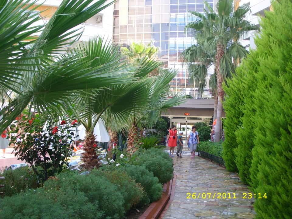 Chodnik do hotela My Home Resort