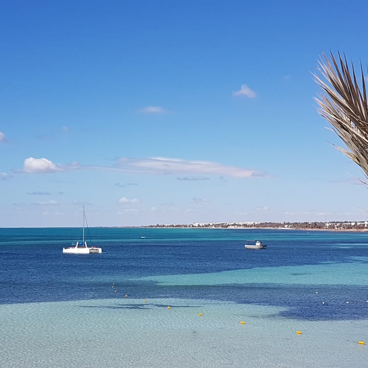 Ausblick Hotel El Mouradi Djerba Menzel