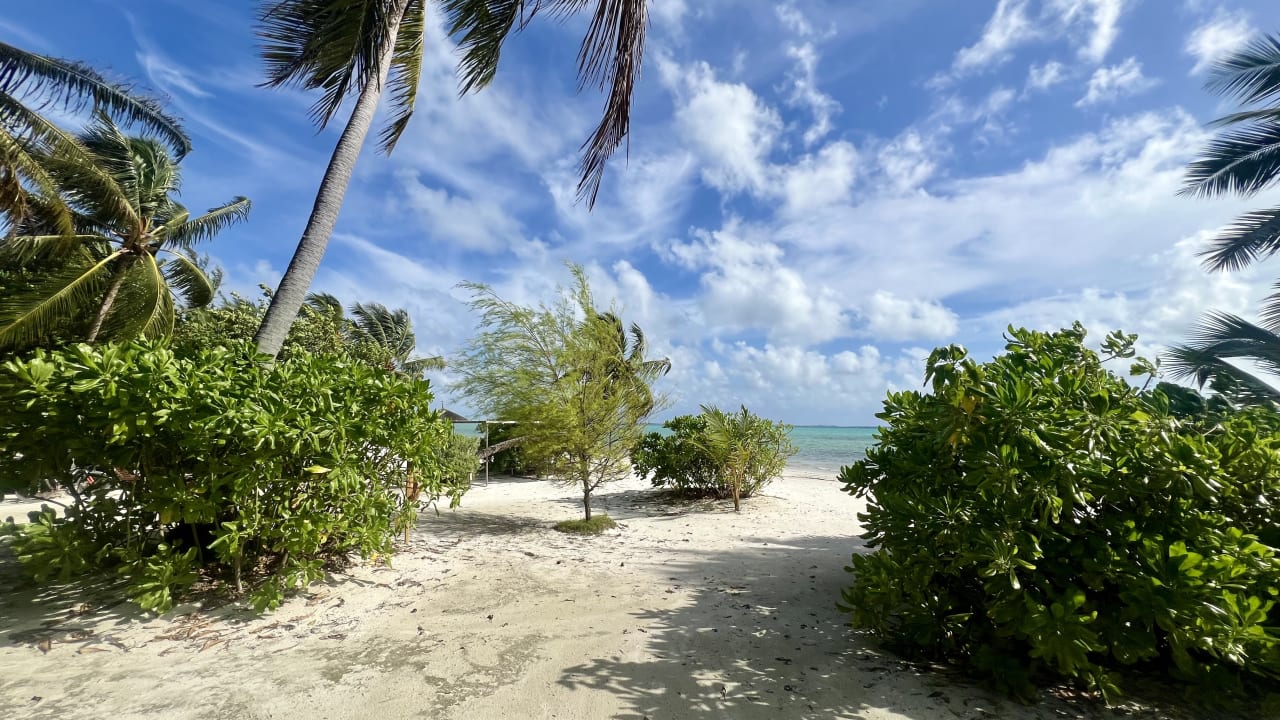Strand Canareef Resort Maldives