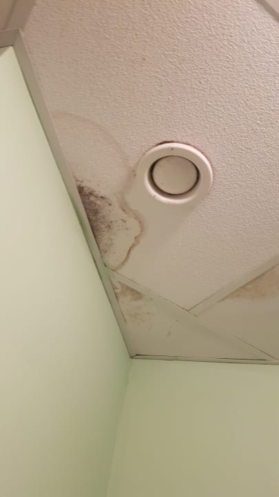 Zimmer Son Moll Sentits Hotel & Spa