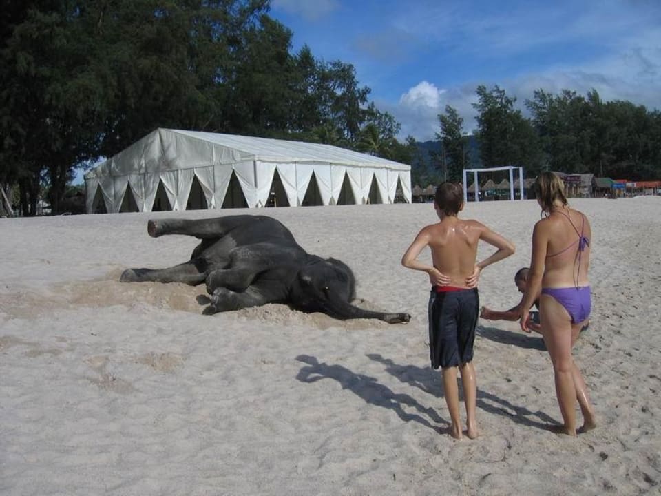 Strandmotiv Hotel Angsana Laguna Phuket