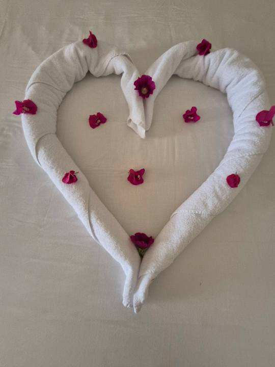 Zimmer Malikia Resort Abu Dabbab