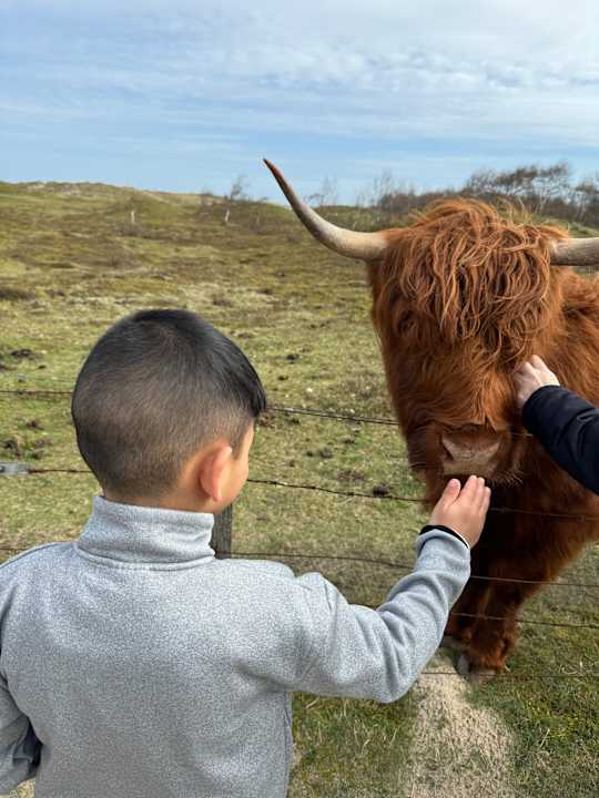 Gartenanlage Ferienwohnungen Ferienpark Weissenhäuser Strand