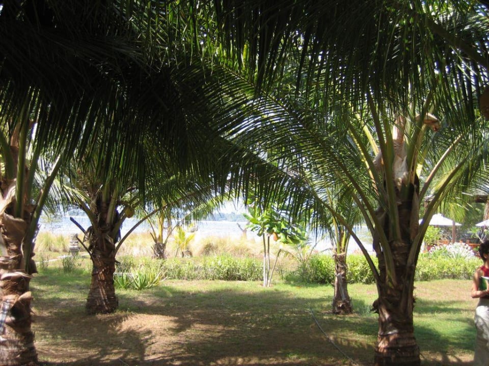 Garten Villa Nautilus mit Blick auf das Meer Villa Nautilus