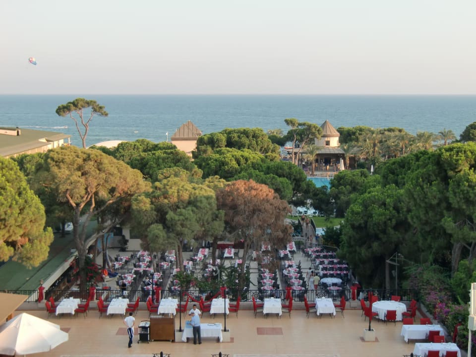 Blick aus dem Zimmer Papillon Ayscha