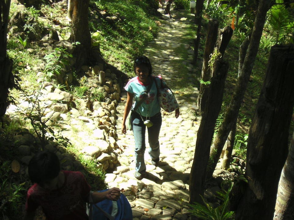 Eingangsweg zur Rezeption Bambua Nature Park Resort