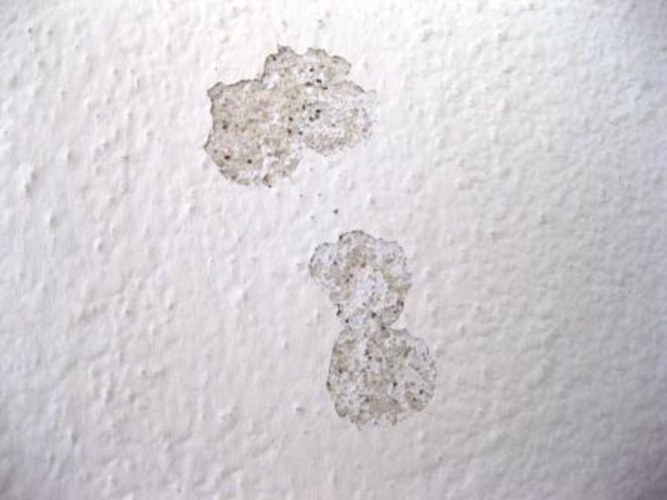 Tapete rechts neben dem Fenster Alphotel Tyrol