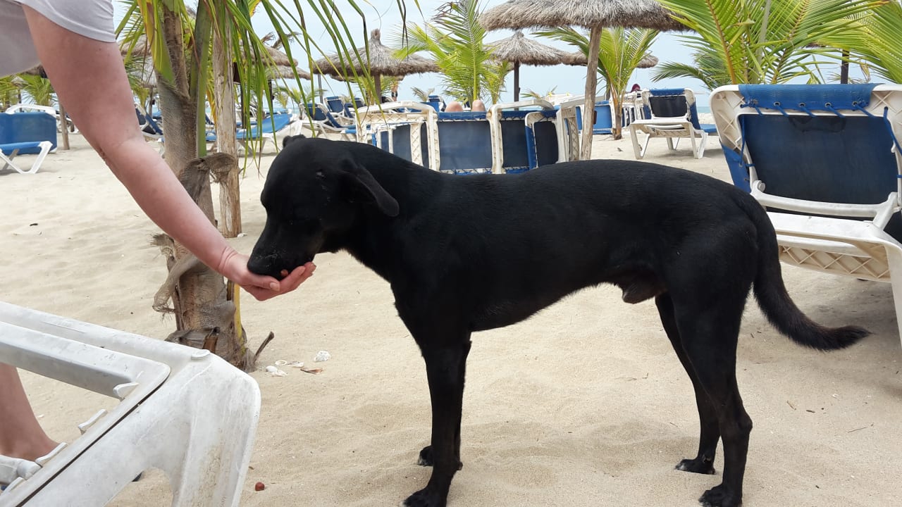 Strand Hotel Riu Karamboa