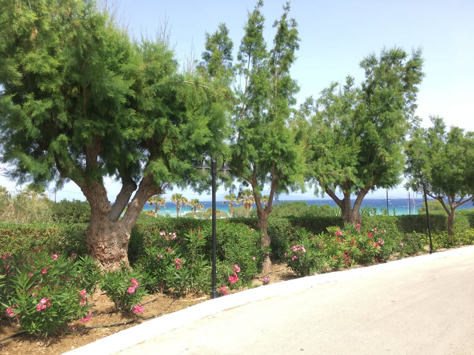 Gartenanlage Lagas Aegean Village