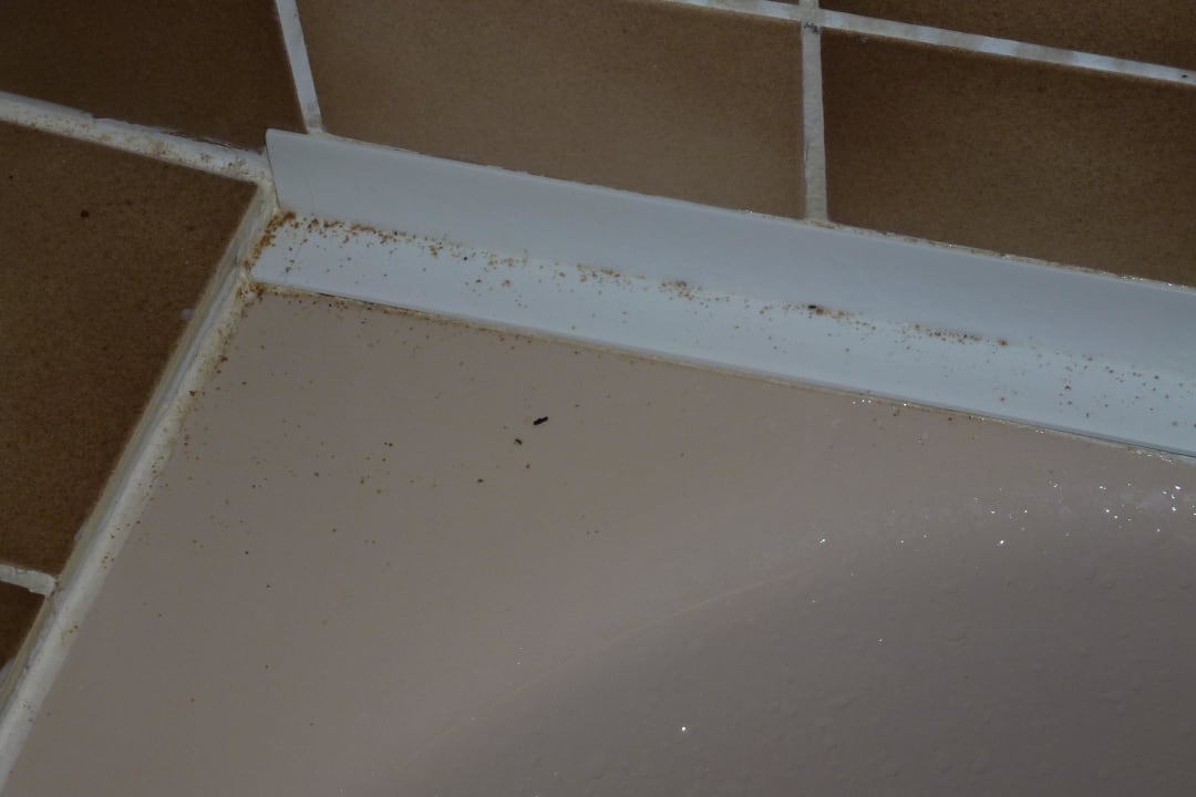 Bakterienansammlung an der Badewanne Flair Hotel Weinstube Lochner