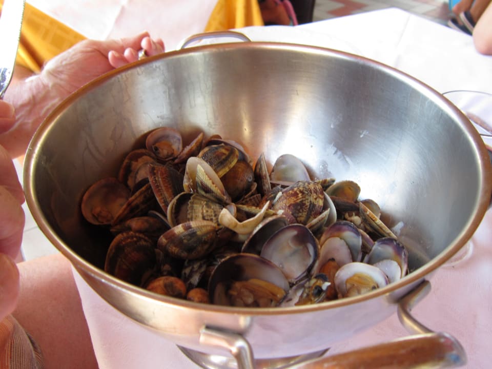 Extra wunsch. Aparthotel Holiday