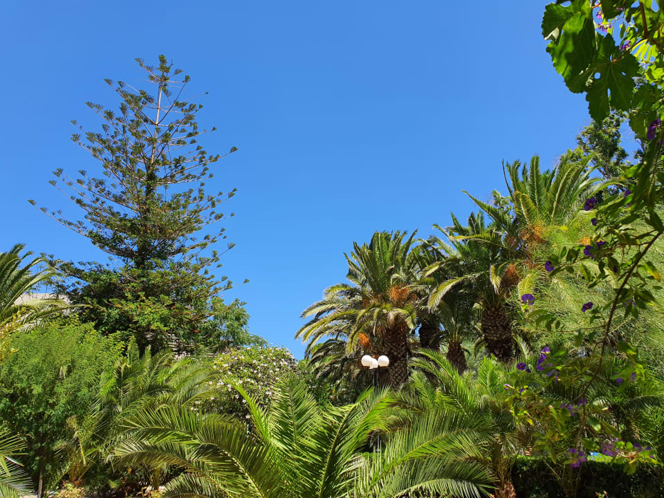Garten Apollonia Beach Resort & Spa
