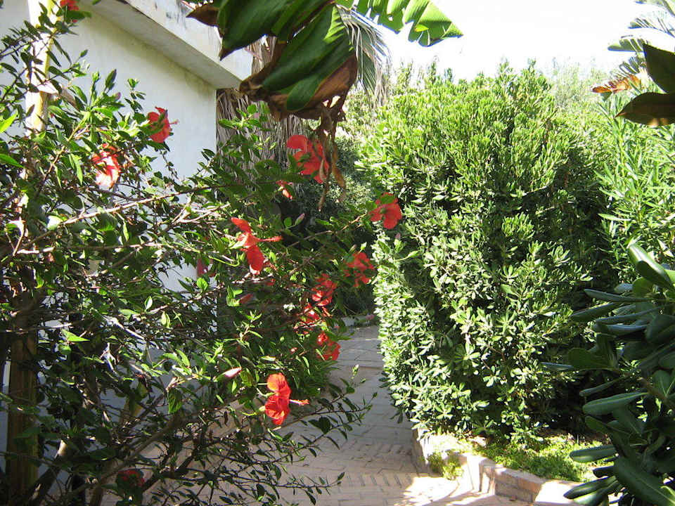 Blick von unserer Terrasse Villaggio Torre Ruffa Robinson