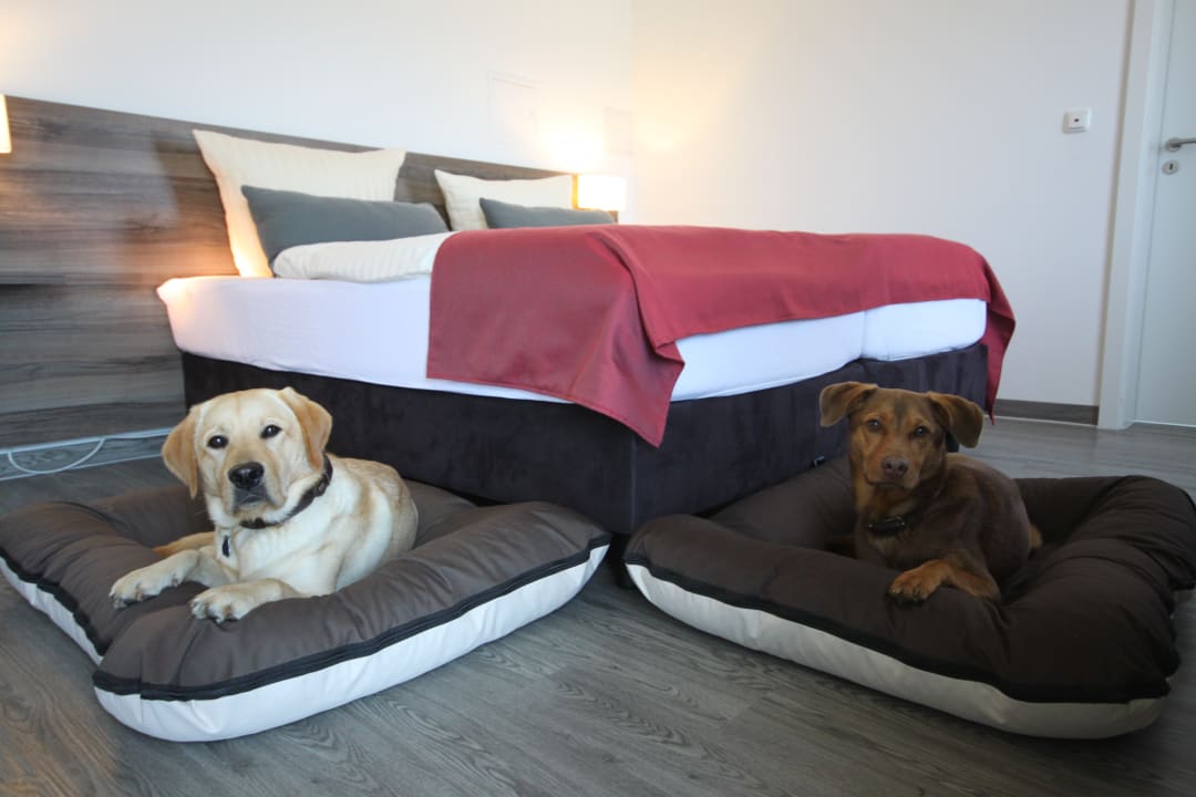 Zimmer Hotel Mein Bergblick