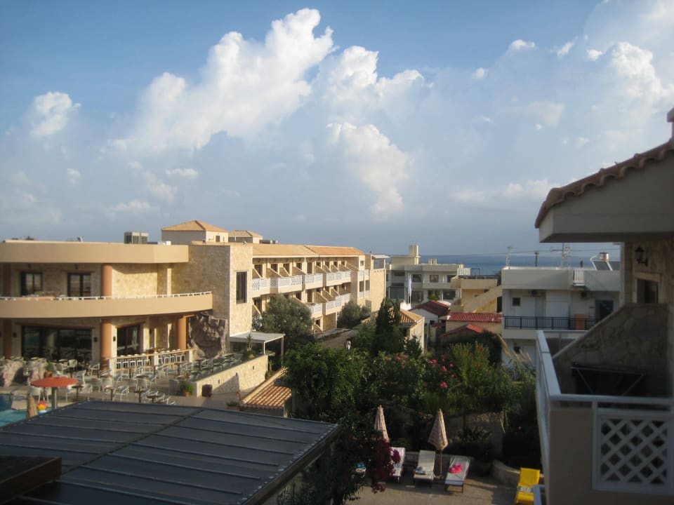 Vom Balkon Cactus Royal