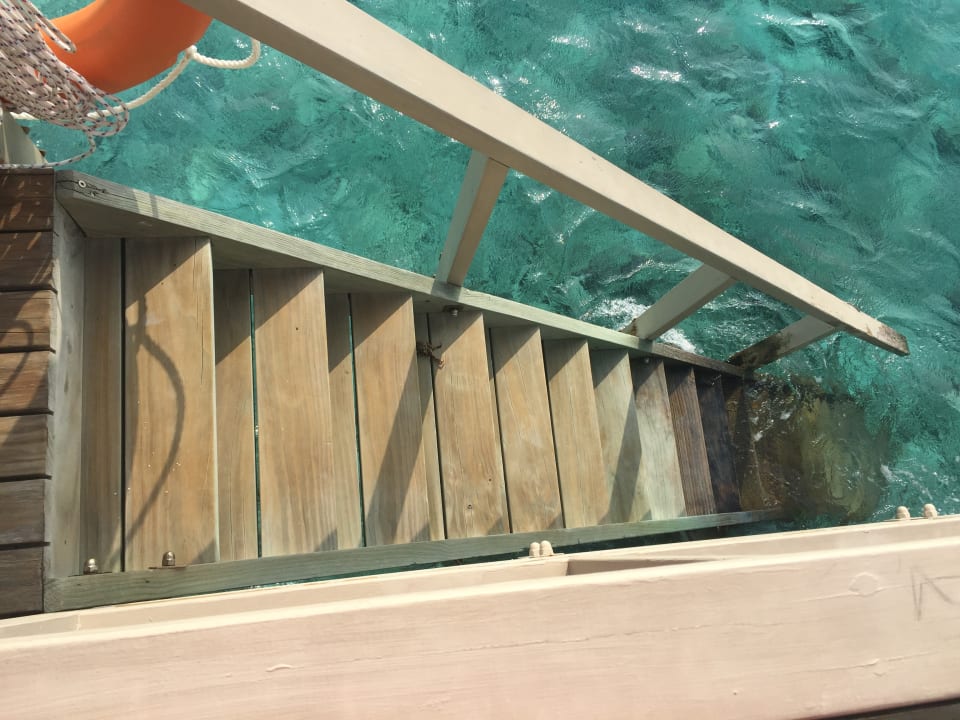 Zimmer Summer Island Maldives