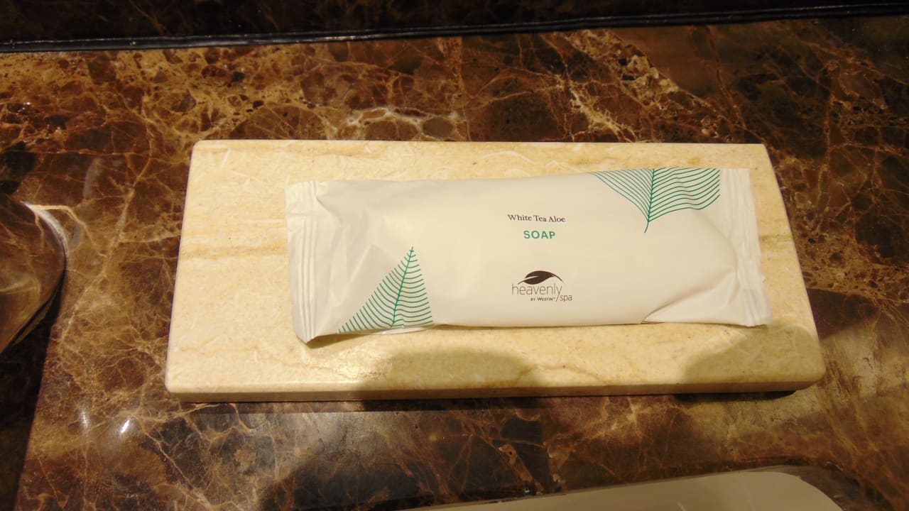 Zimmer Hotel The Westin Chennai Velachery