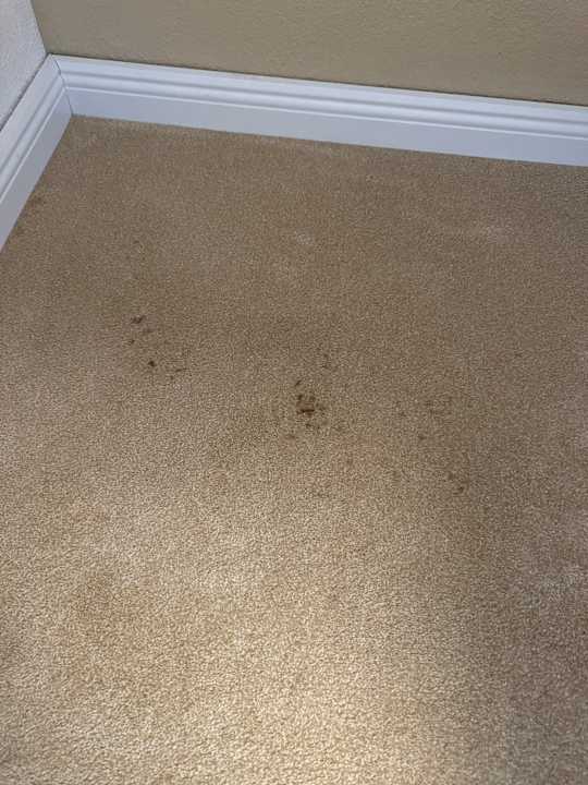 Zimmer Lou Garden Suite