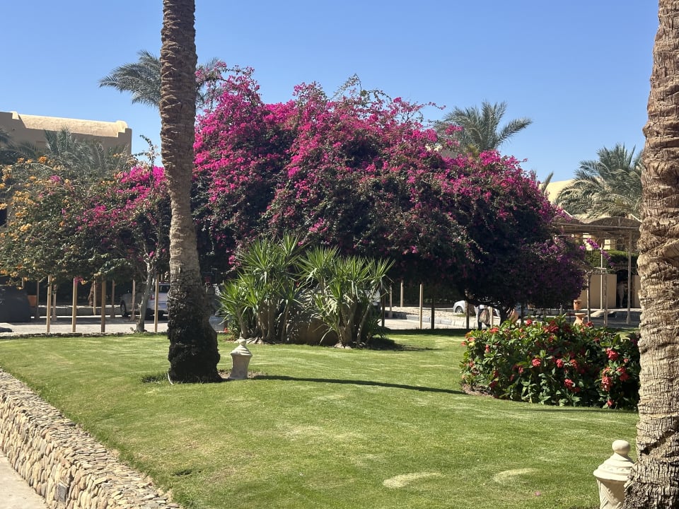 Gartenanlage Jaz Makadi Oasis Resort
