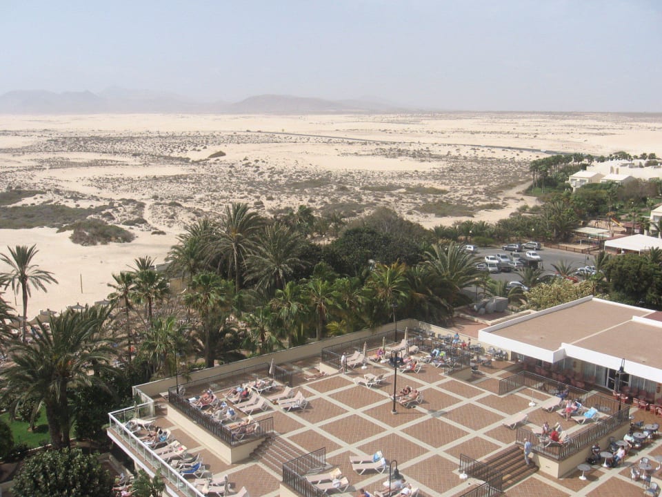 Leżaki koło basenu i wydmy Hotel Riu Oliva Beach - Hotel