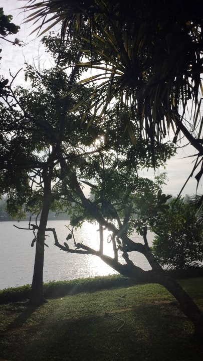 Morgenstimmung am Fluss Barberyn Sands Ayurveda Resort