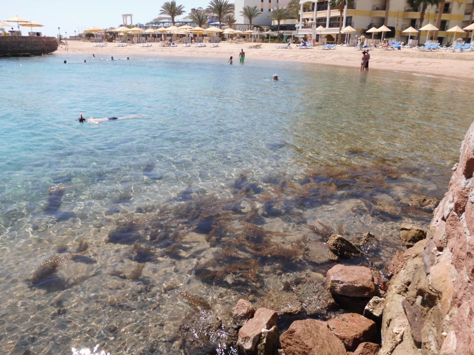 Lagune bei Ebbe SUNRISE Holidays Resort (Adults Only)