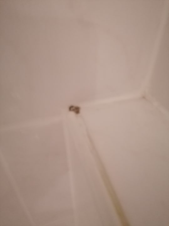 Zimmer Hotel The Monarch