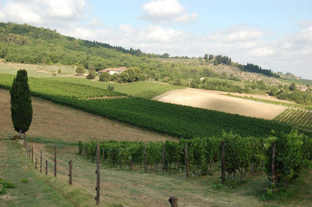 Vista aerea Viticcio