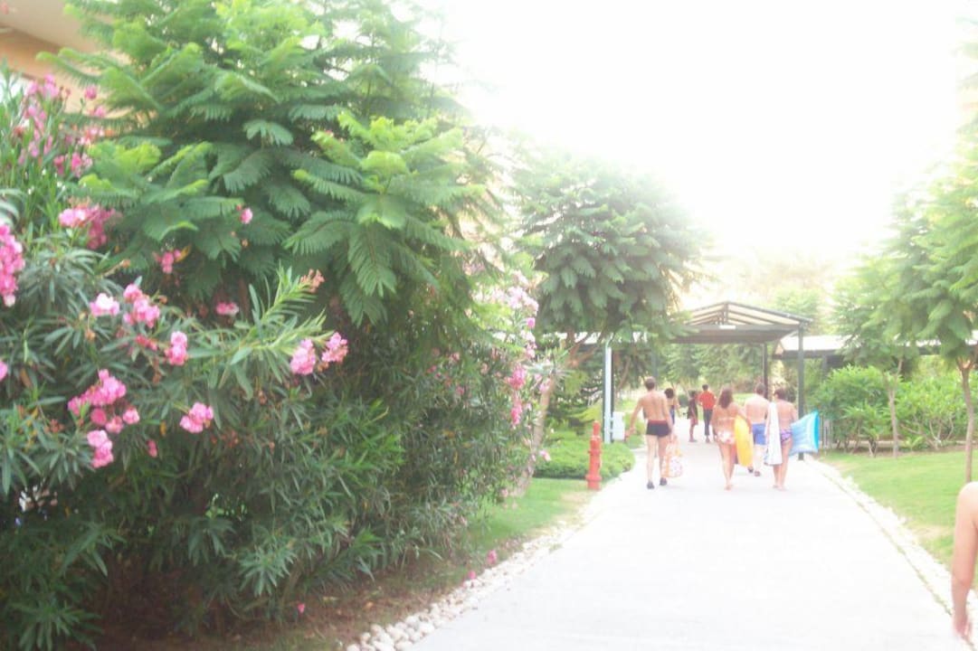 Hotelanlage AQI Pegasos World