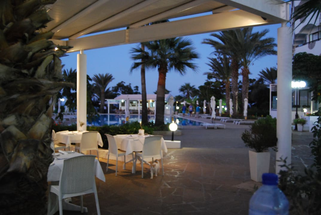 Gastro Crystal Springs Beach Hotel