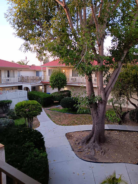 Außenansicht Hotel California Suites