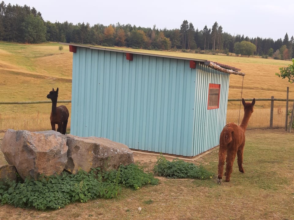 Sonstiges Ferienhof Hubertushof Eifel