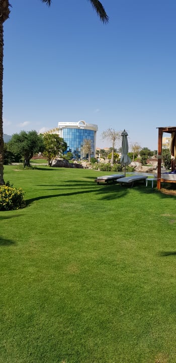 Gartenanlage Palm Royale Resort - Soma Bay
