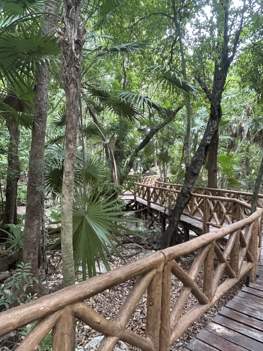 Gartenanlage Iberostar Waves Tucan