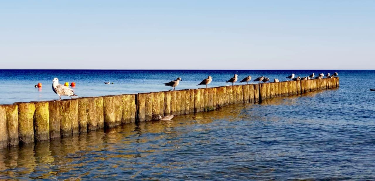 Strand LECH Sanatorium