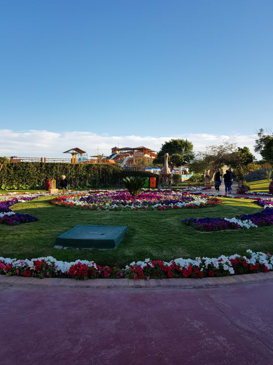 Garten Pickalbatros Jungle Aqua Park Resort - Neverland Hurghada