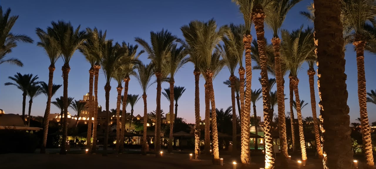 Gartenanlage Makadi Spa - Adults only