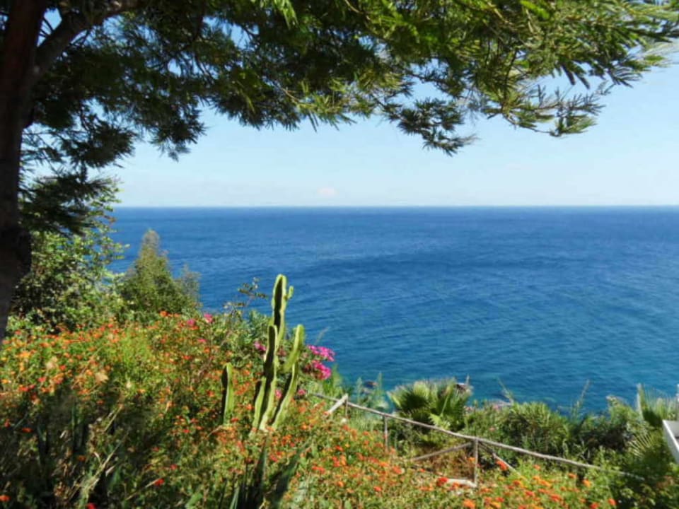 Blick auf das Meer TUI Blue Puntamare