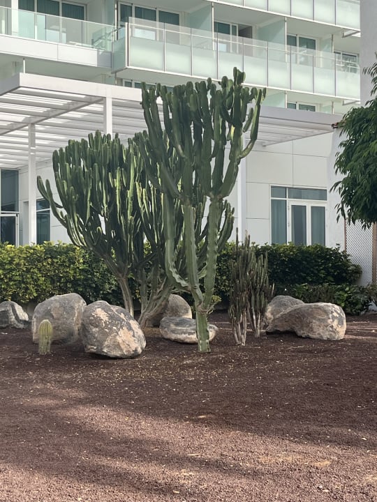 Gartenanlage ROBINSON JANDIA PLAYA