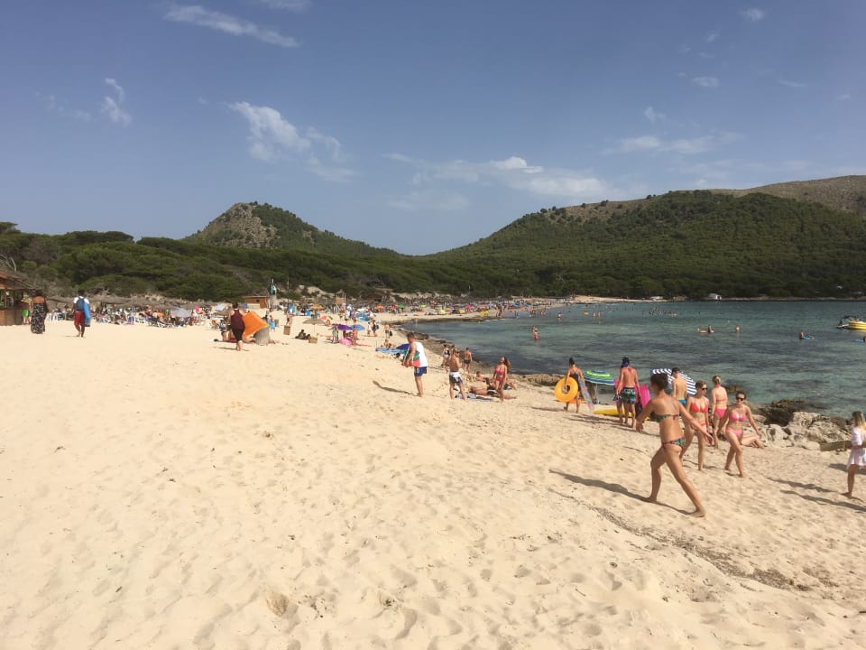 Strand Green Garden Aparthotel