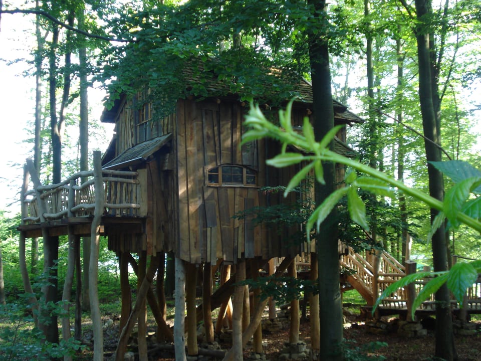 Das Tannenhäusle von hinten Natur-Resort Tripsdrill