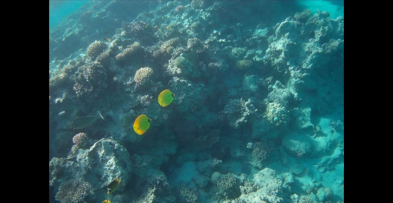 Sport & Freizeit Premier Le Reve Hotel & Spa