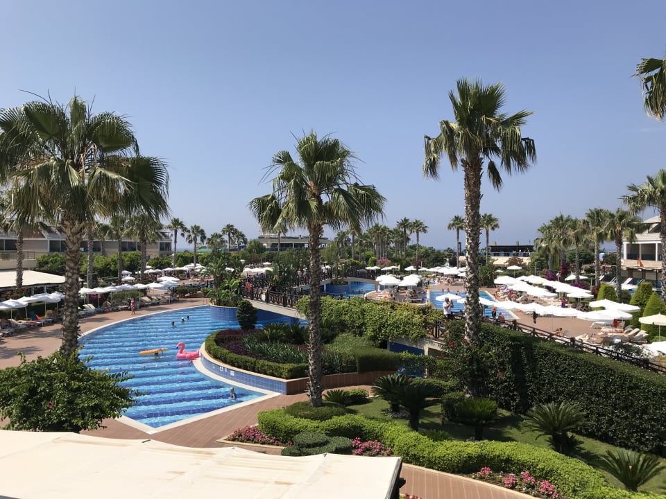 Ausblick TUI MAGIC LIFE Jacaranda