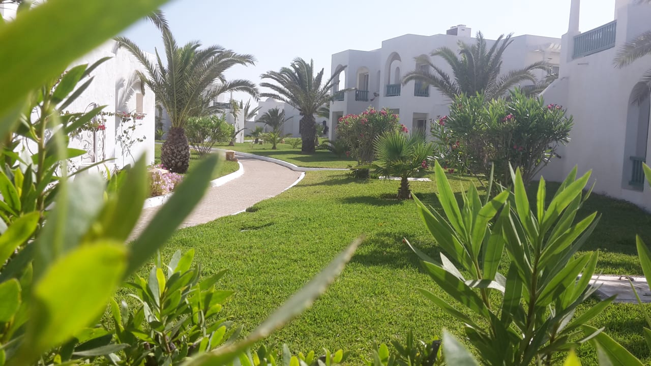 Gartenanlage Vincci Helios Beach