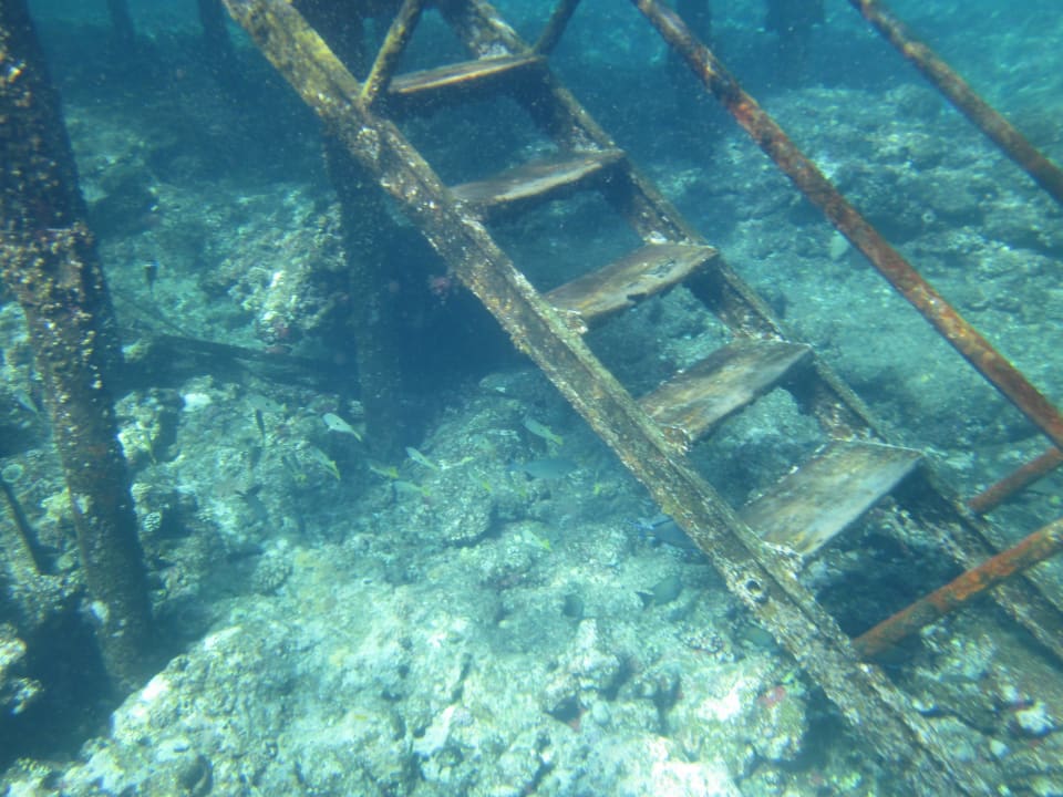 Am Steg unterWasser Three Corners Sea Beach Resort