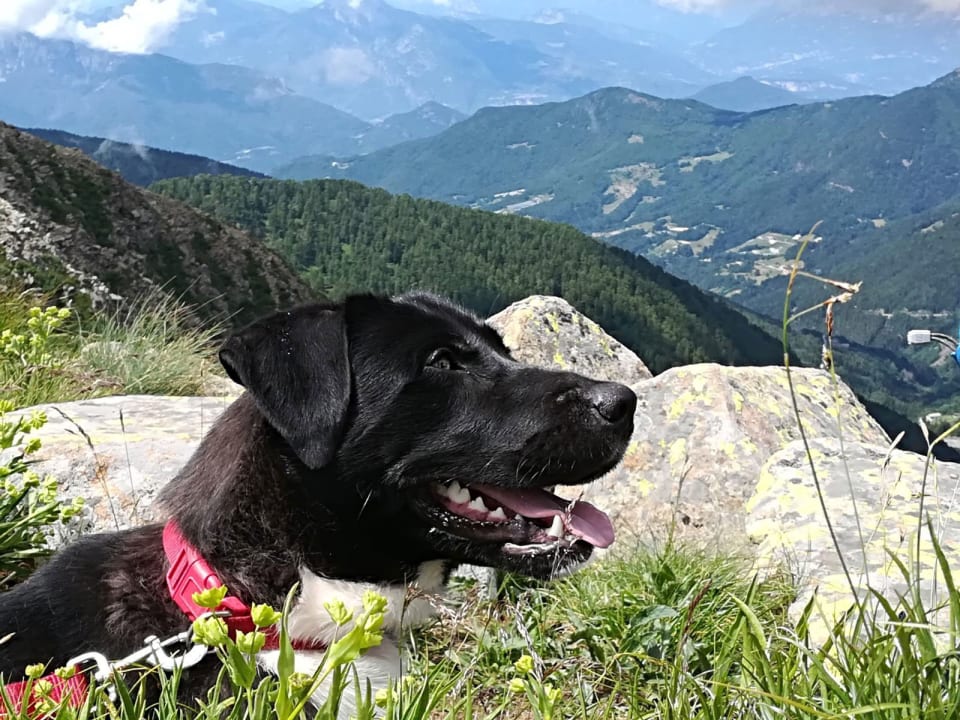 Sonstiges Hotel Pineta