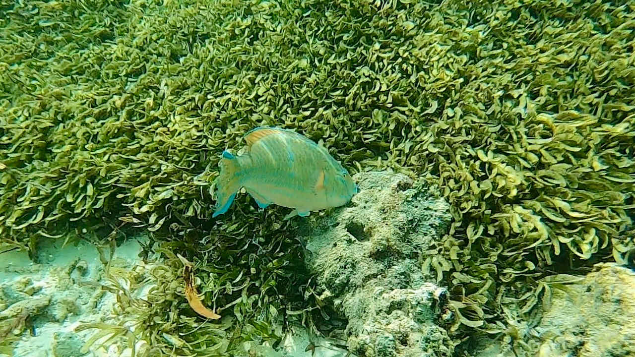 Sonstiges Cinnamon Hakuraa Huraa Maldives