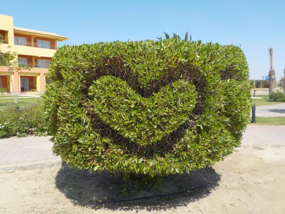 Gartenanlage Malikia Resort Abu Dabbab